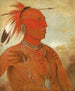 Lawhhecootslashwno Brave Chief et Skidi Wolf Pawnee - George Catlin — widok dzieła