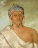 Laylwshekaw płynie rzeką, stary szaman - George Catlin — widok dzieła
