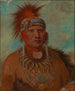 Neu-mon-ya Walking Rain Chef de guerre - George Catlin — widok dzieła
