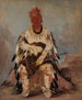 No-wy-ke-sg-gah Ten, kto uderza dwa razy, jest odważny - George Catlin — widok dzieła