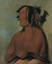Pa-ris-ka-ro-pa Deux Corbeaux Le Jeune - George Catlin — widok dzieła