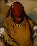 Pa-ris-ka-ro-pa Deux Corbeaux un Chef - George Catlin — widok dzieła