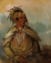 Pah-mee-cw-ee-tah L'homme qui traque un chef - George Catlin — widok dzieła