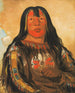 Peh-Tä-Pe-Kiss Eagles konfrontuje wodza Piegan - George Catlin — widok dzieła