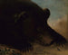 portretów niedźwiedzia grizzly i myszy w skali rzeczywistej - George Catlin — widok dzieła