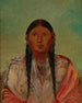 Ru-Ton-Wee-Me Gołąb na skrzydle - George Catlin — widok dzieła