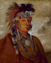 Sh-Me-Ks Zobacz wilka jako szefa - George Catlin — widok dzieła