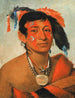 Sha-W-No Le Sud, un guerrier reconnu - George Catlin — widok dzieła