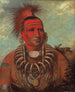 Shon-Ta-Yi-Ga Mały Wilk, słynny wojownik - George Catlin — widok dzieła