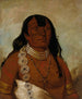 Th-Tot-Sah, lepiej znany jako Tohausen Little Bluff First Chief - George Catlin — widok dzieła