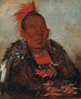 WahRoNeSah, przywódca okrążający plemię - George Catlin — widok dzieła