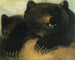 Broni i fizjonomii niedźwiedzia grizzly - George Catlin — widok dzieła