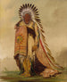 WnEeTon Szef plemienia - George Catlin — widok dzieła