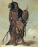 Wnnestou White Buffalo, stary uzdrowiciel - George Catlin — widok dzieła