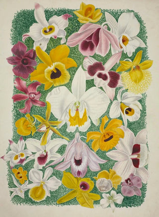 George De Alwis - Mon Jardin a Ceylan Pl002.webp