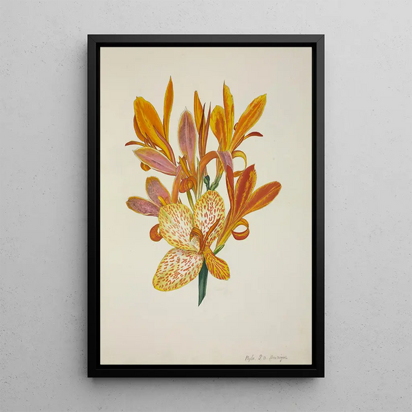 George De Alwis - Mon Jardin a Ceylan Pl050.webp