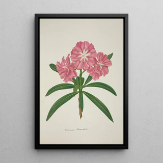 George De Alwis - Mon Jardin a Ceylan Pl057.webp