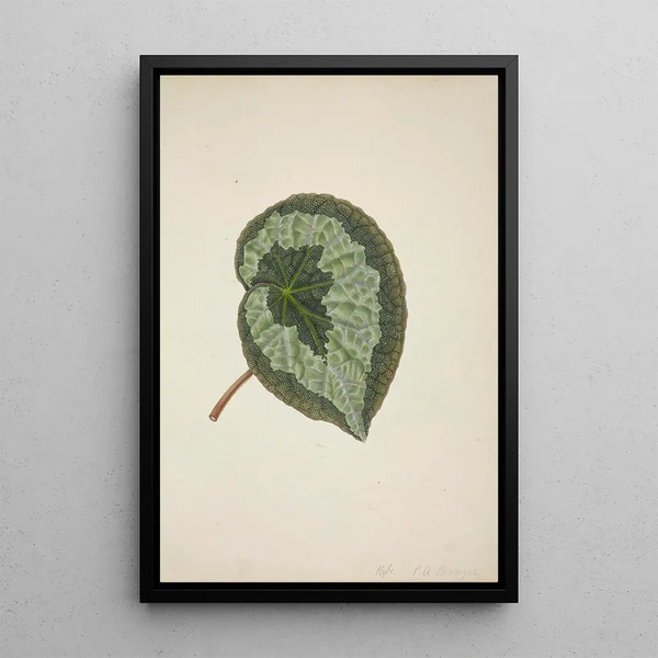 George De Alwis - Mon Jardin a Ceylan Pl183.webp