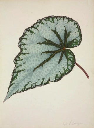 George De Alwis - Mon Jardin a Ceylan Pl190.webp