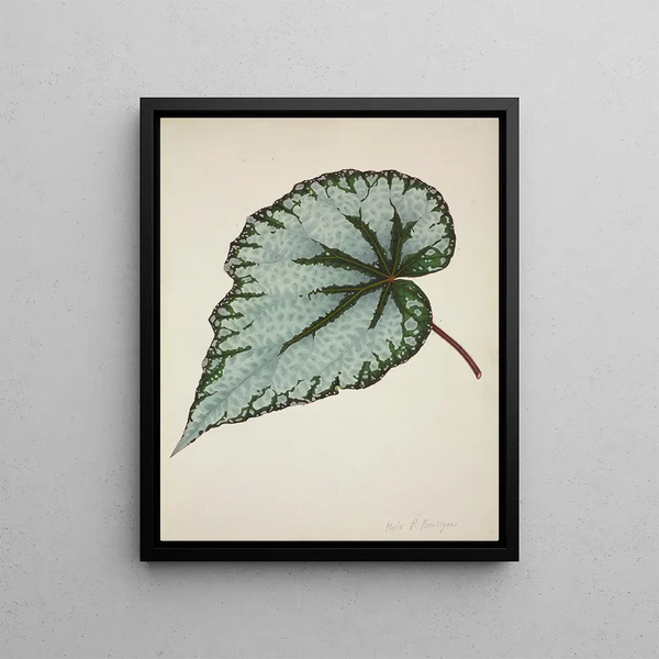George De Alwis - Mon Jardin a Ceylan Pl190.webp