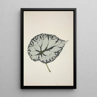 George De Alwis - Mon Jardin a Ceylan Pl212.webp