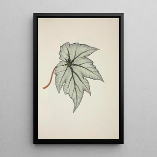 George De Alwis - Mon Jardin a Ceylan Pl227.webp