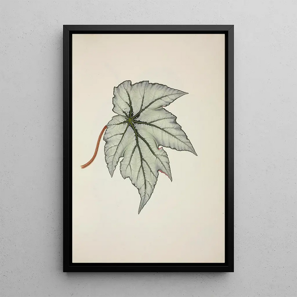 George De Alwis - Mon Jardin a Ceylan Pl227.webp