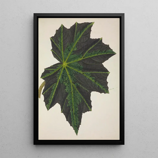 George De Alwis - Mon Jardin a Ceylan Pl240.webp