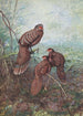 Fawor Szary - George Edward Lodge — widok dzieła