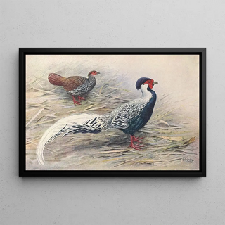 George Edward Lodge - Hainan Silver Kaleege.webp