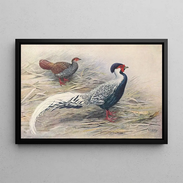 George Edward Lodge - Hainan Silver Kaleege.webp