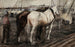 Pracujące konie w Houthaven, Amsterdam - George Hendrik Breitner — widok dzieła
