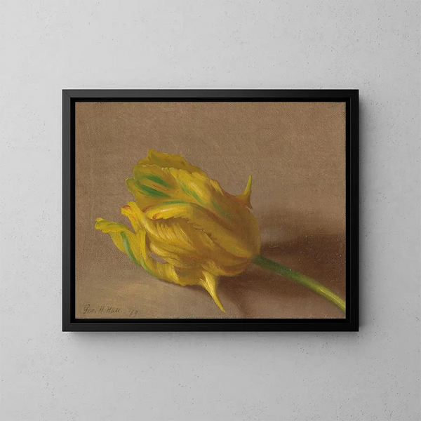 Tulipe - George Henry Hall — oprawiony obraz na ścianie