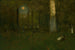 Piknik w lesie Montclair New Jersey - George Inness — widok dzieła