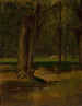 Rzeka z pstrągami w North Conway - George Inness — widok dzieła