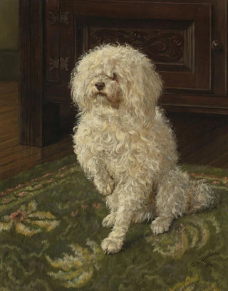 George L Harrison - Poodle on a Green Carpet.webp