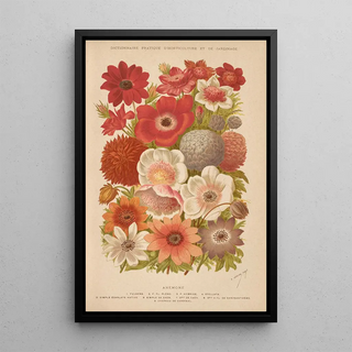 George Nicholson - Dictionnaire pratique dhorticulture Pl02.webp