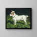 Piper, terrier Jack Russell - George Paice — oprawiony obraz na ścianie