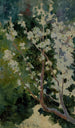 Capri - George Randolph Barse — widok dzieła