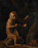 Małpa - George Stubbs — widok dzieła
