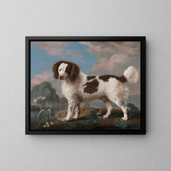 spaniela norfolk brązowo-biały - George Stubbs — oprawiony obraz na ścianie