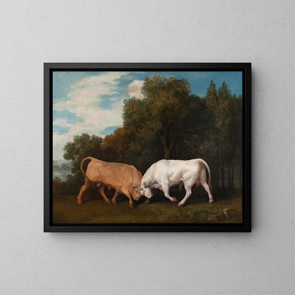 Walka byków - George Stubbs — oprawiony obraz na ścianie
