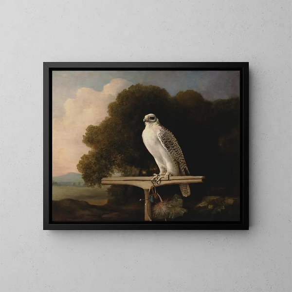 Faucon du Groenland - George Stubbs — oprawiony obraz na ścianie