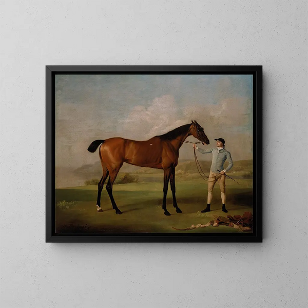 Molly Longlegs z jej jeźdźcem - George Stubbs — oprawiony obraz na ścianie