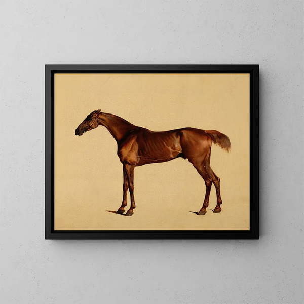 Pangloss - George Stubbs — oprawiony obraz na ścianie