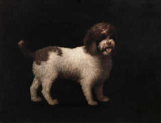 Spaniel d'eau - George Stubbs — widok dzieła