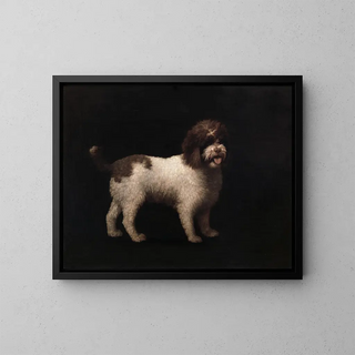 Spaniel d'eau - George Stubbs — oprawiony obraz na ścianie