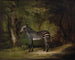 Zebra - George Stubbs — widok dzieła