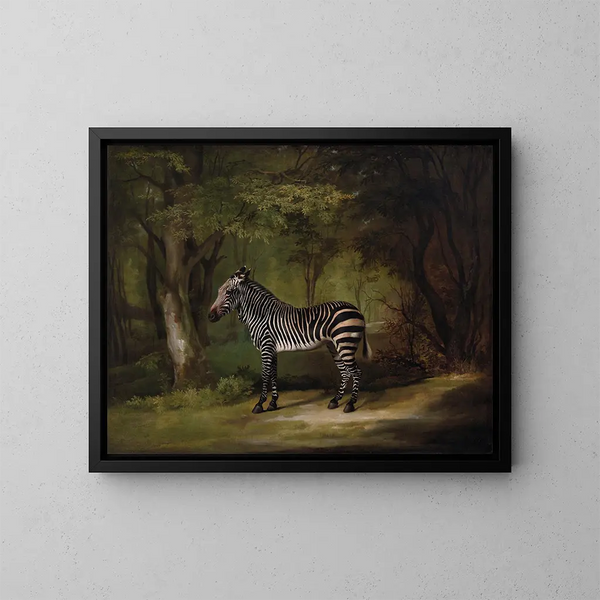 Zebra - George Stubbs — oprawiony obraz na ścianie