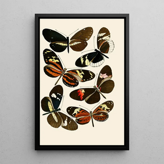 Gesellschaft Isis in Dresden - Deutsche entomologische Zeitschrift pl 5.webp